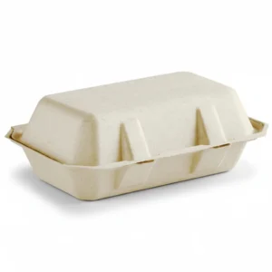 Bagasse Disposable